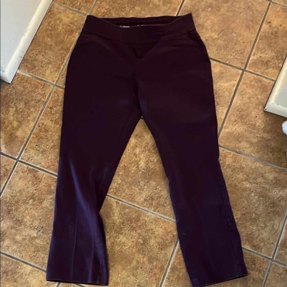 Croft & Barrow The Effortless Stretch Pant Purple Size 18  Regular